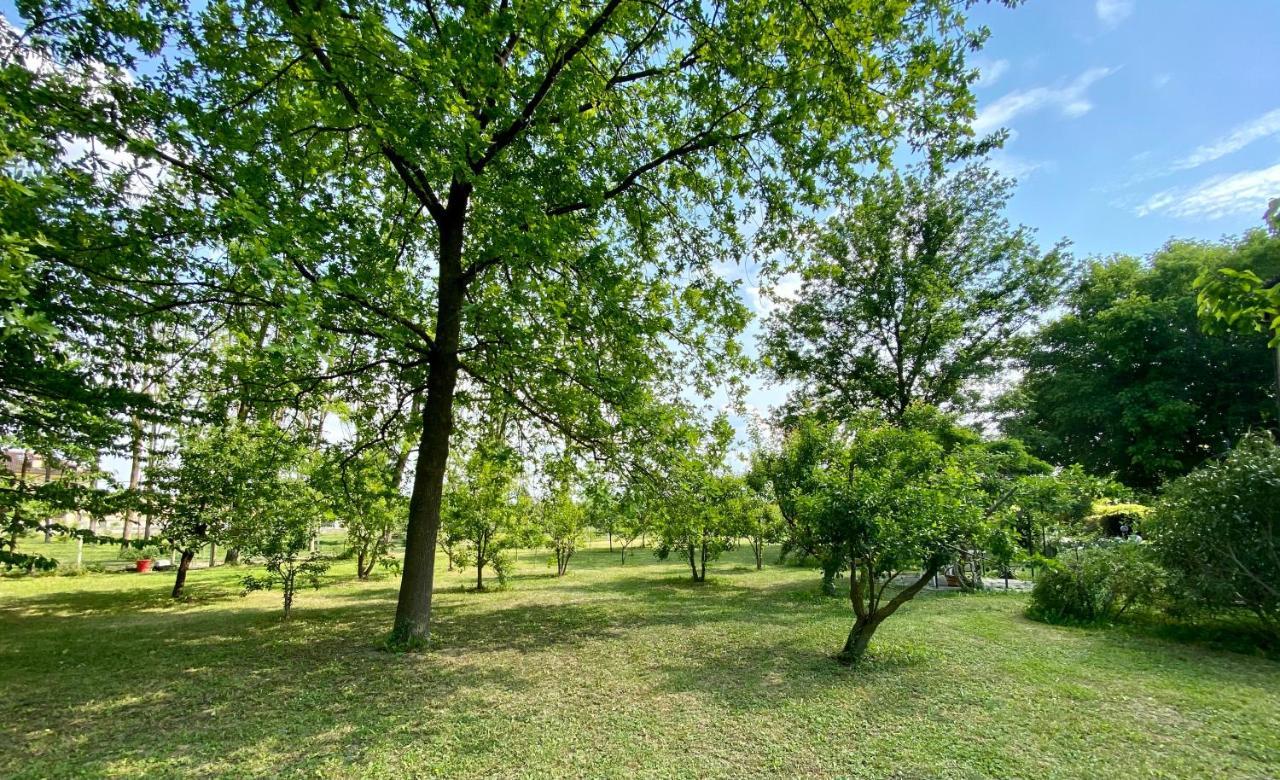 Magliano Alfieri Locanda Del Molino Vecchio מראה חיצוני תמונה