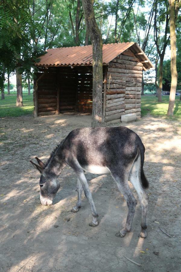 Magliano Alfieri Locanda Del Molino Vecchio מראה חיצוני תמונה